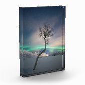 ノーザンライトツリー フォトブロック (左)