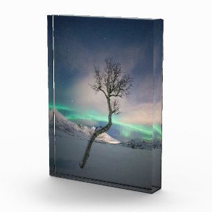 ノーザンライトツリー フォトブロック