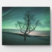 ノーザンライトツリー フォトプラーク (正面)