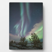 ノーザンライトツリー フォトプラーク (正面)