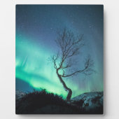 ノーザンライトツリー フォトプラーク (正面)