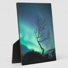 ノーザンライトツリー フォトプラーク