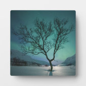 ノーザンライトツリー フォトプラーク (正面)