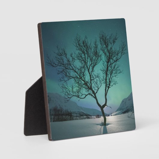 ノーザンライトツリー フォトプラーク (正面)