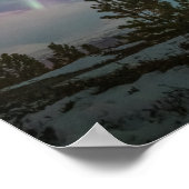 ノーザンライトツリー ポスター (角)