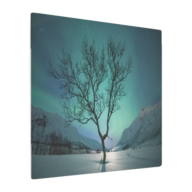 ノーザンライトツリー メタルプリント (アングル)