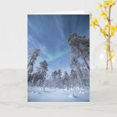 ノーザンライトノルウェー カード (黄色い花)