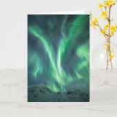 ノーザンライトノルウェー カード (黄色い花)