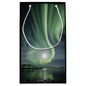 ノーザンライトノルウェー スモールペーパーバッグ (裏面)