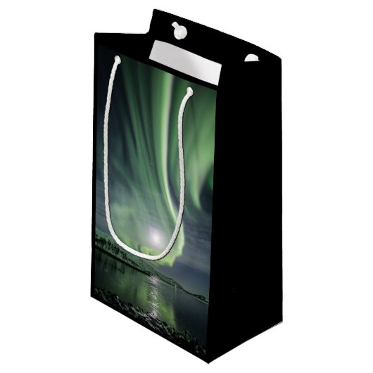 ノーザンライトノルウェー スモールペーパーバッグ (正面アングル)