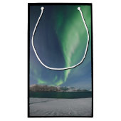 ノーザンライトノルウェー スモールペーパーバッグ (裏面)