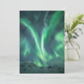 ノーザンライトノルウェー セーブザデート (スタンド正面)