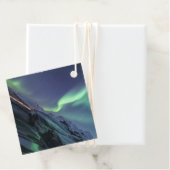 ノーザンライトノルウェー フェイバータグ (インサイチュ)