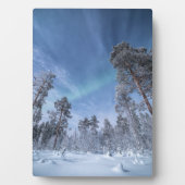 ノーザンライトノルウェー フォトプラーク (正面)