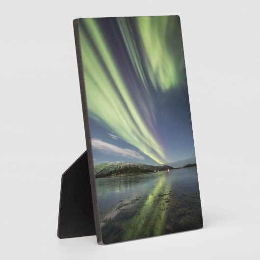 ノーザンライトノルウェー フォトプラーク (側面)
