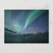 ノーザンライトノルウェー ポストカード (正面)