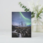 ノーザンライトノルウェー ポストカード (スタンド正面)