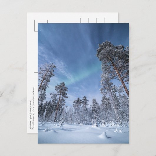 ノーザンライトノルウェー ポストカード (正面/裏面)