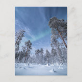 ノーザンライトノルウェー ポストカード (正面)