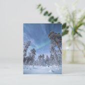 ノーザンライトノルウェー ポストカード (スタンド正面)