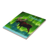 ノーザンライトムース タイル (側面)