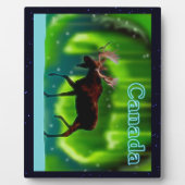 ノーザンライトムース フォトプラーク (正面)