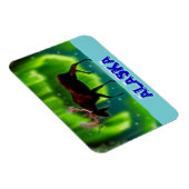 ノーザンライトムース マグネット (右側)