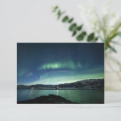 ノーザンライト (スタンド正面)