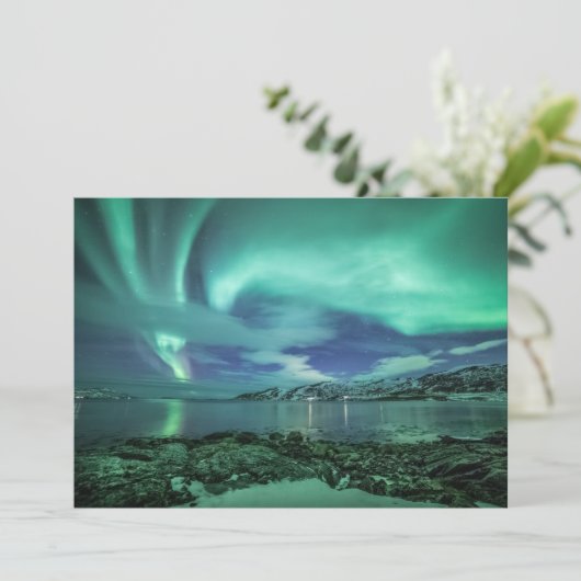 ノーザンライト (スタンド正面)