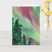 ノーザンライト |アラスカ、グレンナレンの冬 カード (黄色い花)