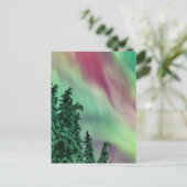 ノーザンライト |アラスカ、グレンナレンの冬 ポストカード (スタンド正面)