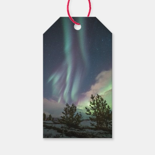 ノーザンライト ギフトタグ (正面)