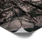 ノーザンライト |デナリ国立公園 ポスター (角)