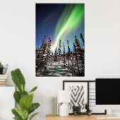 ノーザンライト |デナリ国立公園 ポスター (ホームオフィス)