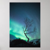 ノーザンライト ポスター (正面)