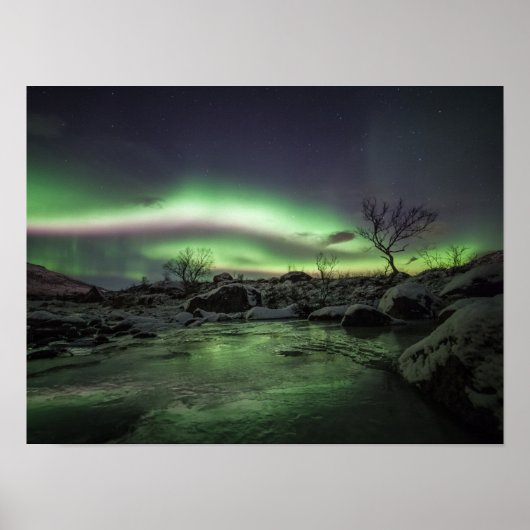 ノーザンライト ポスター (正面)