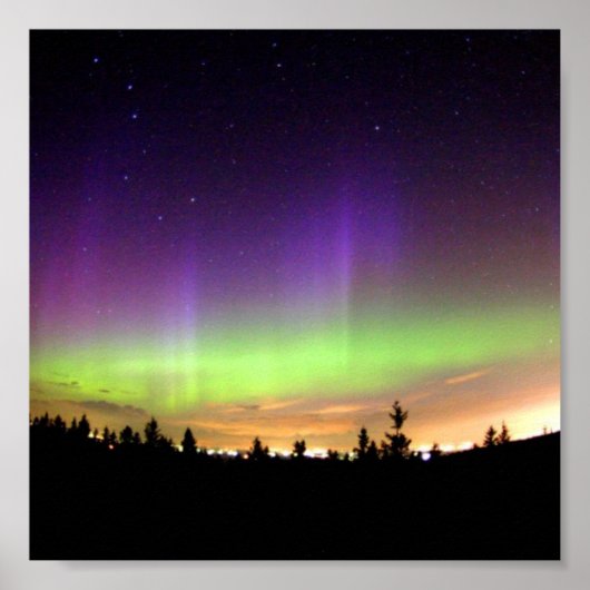 ノーザンライト ポスター (正面)