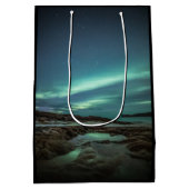 ノーザンライト ミディアムペーパーバッグ (裏面)