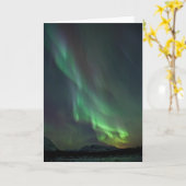 ノーザンライト |ユーコン、ホワイトホース カード (黄色い花)