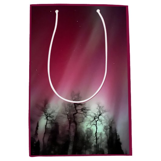 ノーザンライト – 中抱き枕 ミディアムペーパーバッグ (正面)