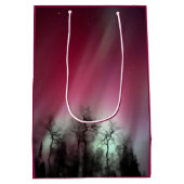 ノーザンライト – 中抱き枕 ミディアムペーパーバッグ (裏面)