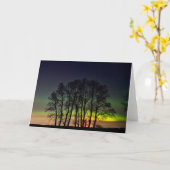 ノーザンライト | Manitobaカナダグランデポイン カード (黄色い花)