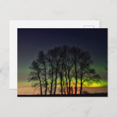 ノーザンライト | Manitobaカナダグランデポイン ポストカード (正面/裏面)