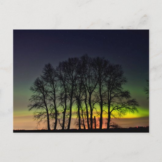 ノーザンライト | Manitobaカナダグランデポイン ポストカード (正面)