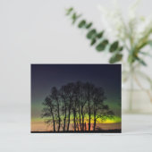 ノーザンライト | Manitobaカナダグランデポイン ポストカード (スタンド正面)