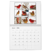 ノーザンレッド深紅色カーディナリスビューティフル写真 カレンダー (3月 2026)