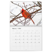 ノーザンレッド深紅色カーディナリスビューティフル写真 カレンダー (2月 2026)