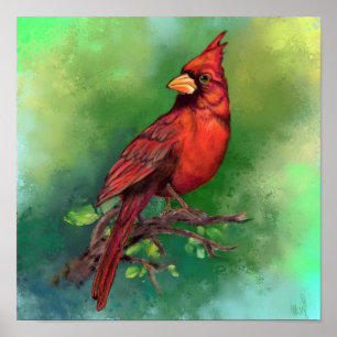 ノーザンレッド(鳥)ショウジョウコウカンチョウバードポスタ絵画ー ポスター