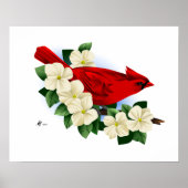 ノーザンレッド(鳥)ショウジョウコウカンチョウ ポスター (正面)