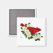 ノーザンレッド（鳥）ショウジョウコウカンチョウ マグネット (正面/裏面)